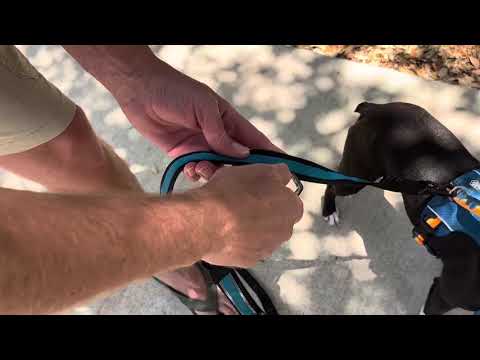REAL Review of Kurgo 6 in 1 Dog Leash {demo + tips}