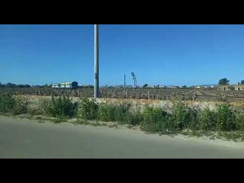 aln668  con reg trapani-marsala transita in un passaggio a livello