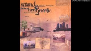 Strand & NonGenetic "The Chase"