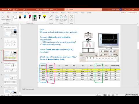 Physioex Exercise 2 Activity 7
