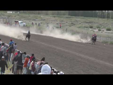 BOLITA  "Club Hipico Cabo Alarcon" - Picun Leufu - Neuquen - 26-02-2023