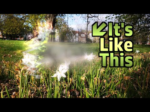 My Experience with Scintillating Scotoma (Visual Migraine/Aura)