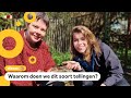 In heel Nederland tellen mensen dit weekend wormen