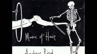 Andrew Bird - Music Of Hair (FULL)