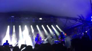 Silversun Pickups - The Wild Kind (Live)