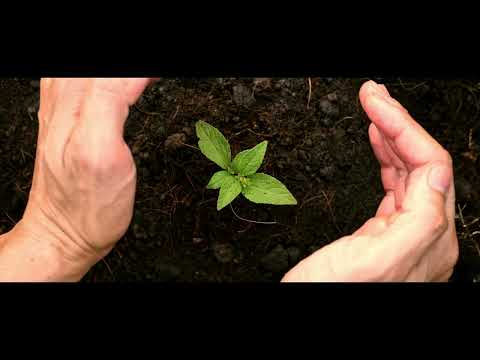 Nature Unleashed - Documentary