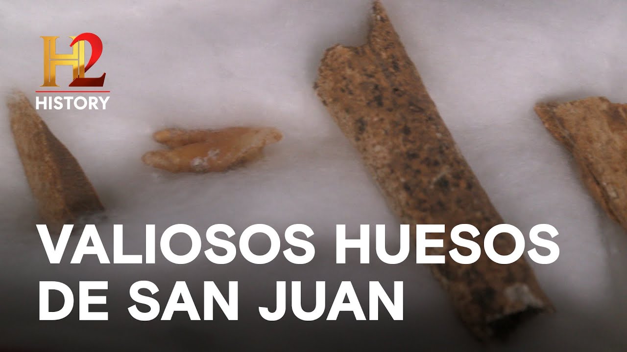 VALIOSOS HUESOS DE SAN JUAN - EL ADN DE JESÚS LA BÚSQUEDA