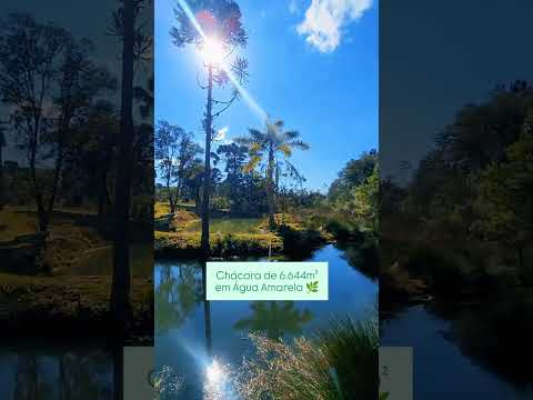 Chácara à venda em Água Amarela, Antônio Olinto - Paraná!