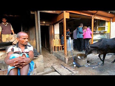 A Tour of the Holy City of Varanasi | Incredible India #trending #viral #varanasi #india