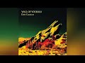 Wall Of Voodoo - Red Light 1981.
