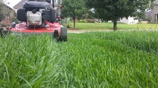 Daily Mower Maintenance and Cutting Heights