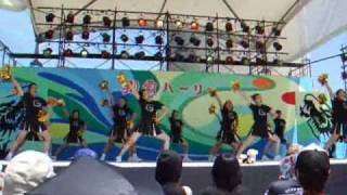 2009/5/3 那覇ハーリー　GEMMYZ