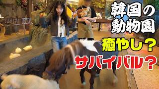 ヘビに叩かれポニーに轢かれる妻。