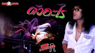 ตัวอะไร – วงกางเกง