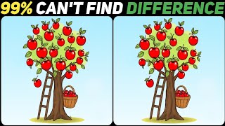 Only 2% Genius Can Find the 3 Hidden Differences!🥸🔥