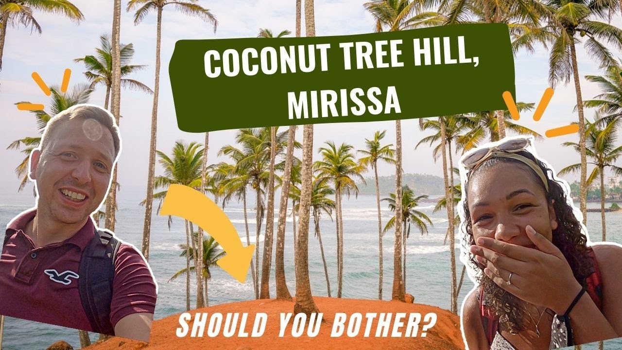 Join a duo on their captivating journey to Coconut Tree Hill.