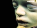 Rammstein Mutter Instrumental Cover 