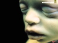Rammstein Mutter Instrumental Cover 