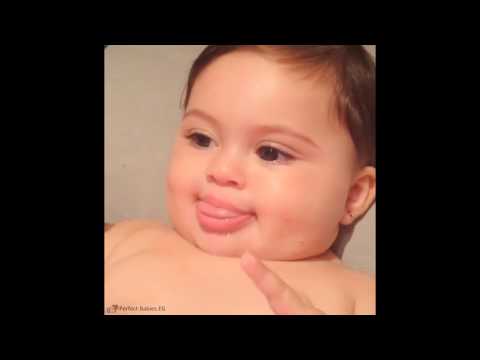 How to pick up a cat like a pro - Vet advice on cat handling.