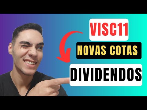 META BATIDA COM O VISC11/QUANTO JÁ RECEBI?
