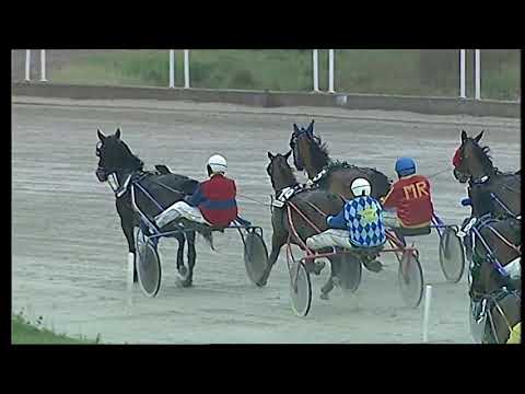 Napoli Trotto 07/02/2021 - 2ª corsa