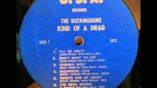 The Buckinghams- I&#39;ll Go Crazy