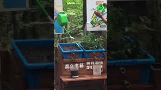 La importancia de cuidar el suelo, la vegetación como filtro natural