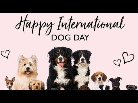 International Dog Day | Kids Speech | English Speech by Kid | Vibin Speech