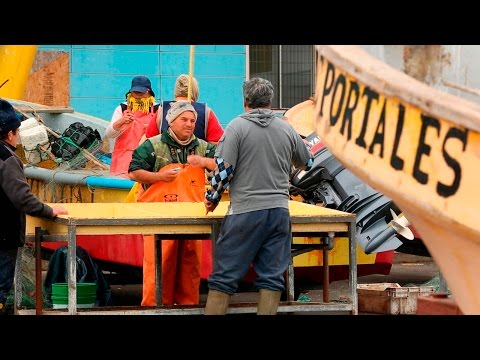 USM  - Reutilización Residuos Pesca Artesanal Caleta Portales