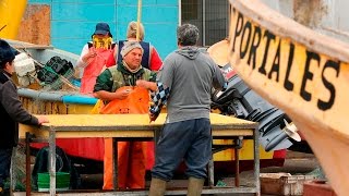 USM  - Reutilización Residuos Pesca Artesanal Caleta Portales