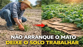 Ela Parou de Cavar o Solo — e o Jardim Começou a Funcionar Sozinho