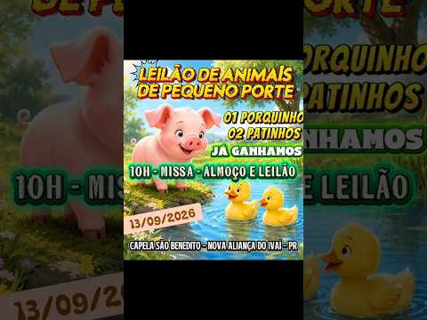 FESTA DE SANTA DULCE DOS POBRES.  Dia: 09/09/2026 - Cidade: Nova Aliança do Ivaí - PR.