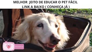 MELHOR JEITO DE EDUCAR O PET FACIL