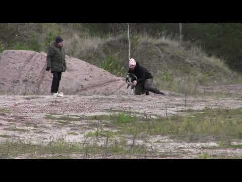 Aavatuulen Lyxirium 23.10.2022 part 2