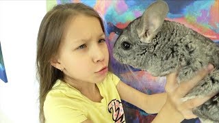 24 Часа с БЛОГЕРОМ Оставили Черри одного на 3 дня Влог // Вики Шоу