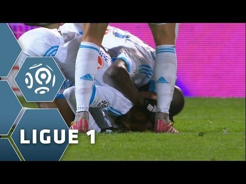 Ligue 1 - Week 15 : Goals compilation - 2013/2014