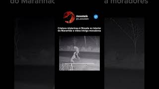 Que tipo de criatura seria essa? #Creepy #medo #assustado #bizarro