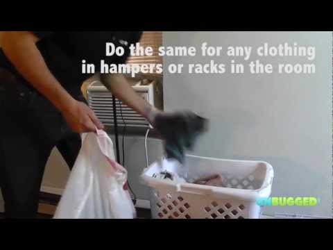 YouTube video about: When can I put clothes back after bed bug treatment?