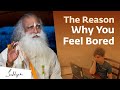 The Reason Why You Feel Bored | Sadhguru