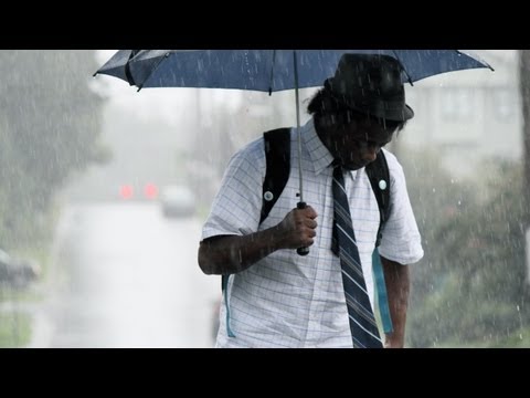 Video thumbnail for Flowers