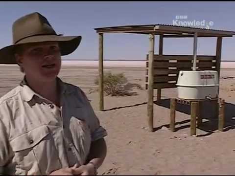 Ray Mears Extreme Survival S02E03 - Australian Desert [LEKTOR PL]