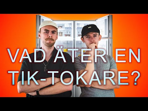 Kitchen Raid - Sommarkatt1 (Vad äter en tik-tokare?)