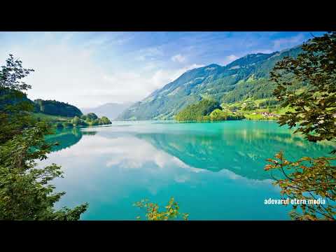 Negativ - Eu voi spune mereu (ft. Otto Pascal și Roxana) Lyrics