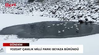 Yozgat Çamlık Milli Parkı beyaza büründü! | İleri Gazetesi