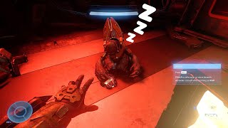 Sleeping Grunts are Cute in Halo Infinite Campaign
