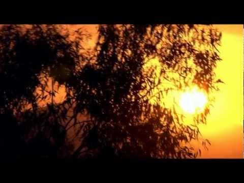 Los Childrens - L.G.S.