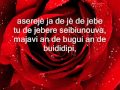 Las Ketchup Asereje english with lyrics YouTube ...