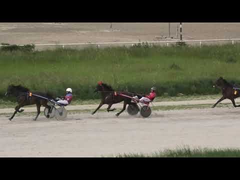 Trka "Državno prvenstvo za grla od 5.godina” 26.05.2019 Lejla S.P. - Boris Kečenović