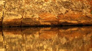 Ruins (Edit) -  Portico Quartet