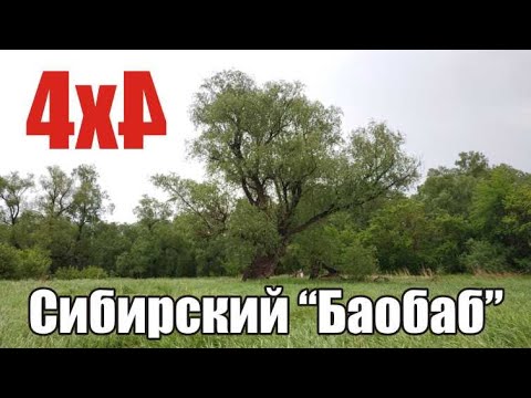 Смотреть видео